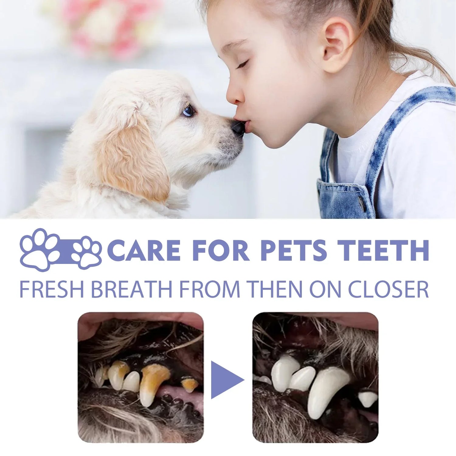 Pet Oral Freshen Breath Spray