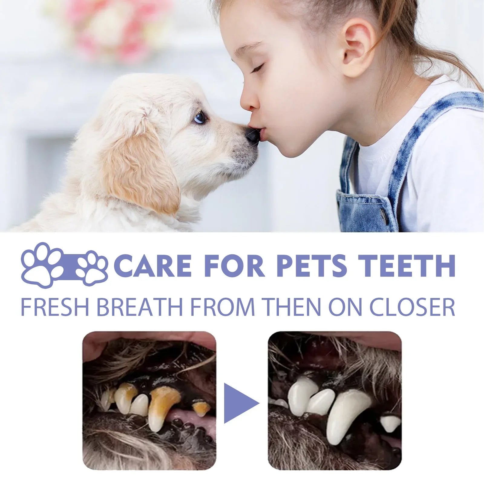 Pet Oral Freshen Breath Spray