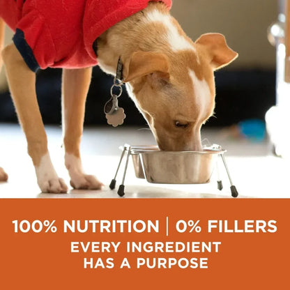 Healthy Weight Dog Supplement