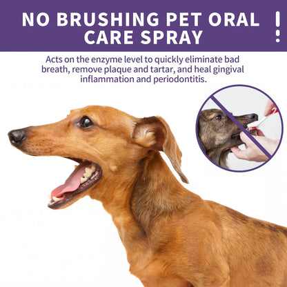 Pet Oral Freshen Breath Spray